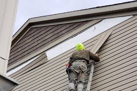 Best Historical Building Siding Restoration  in Willow Springs, MO